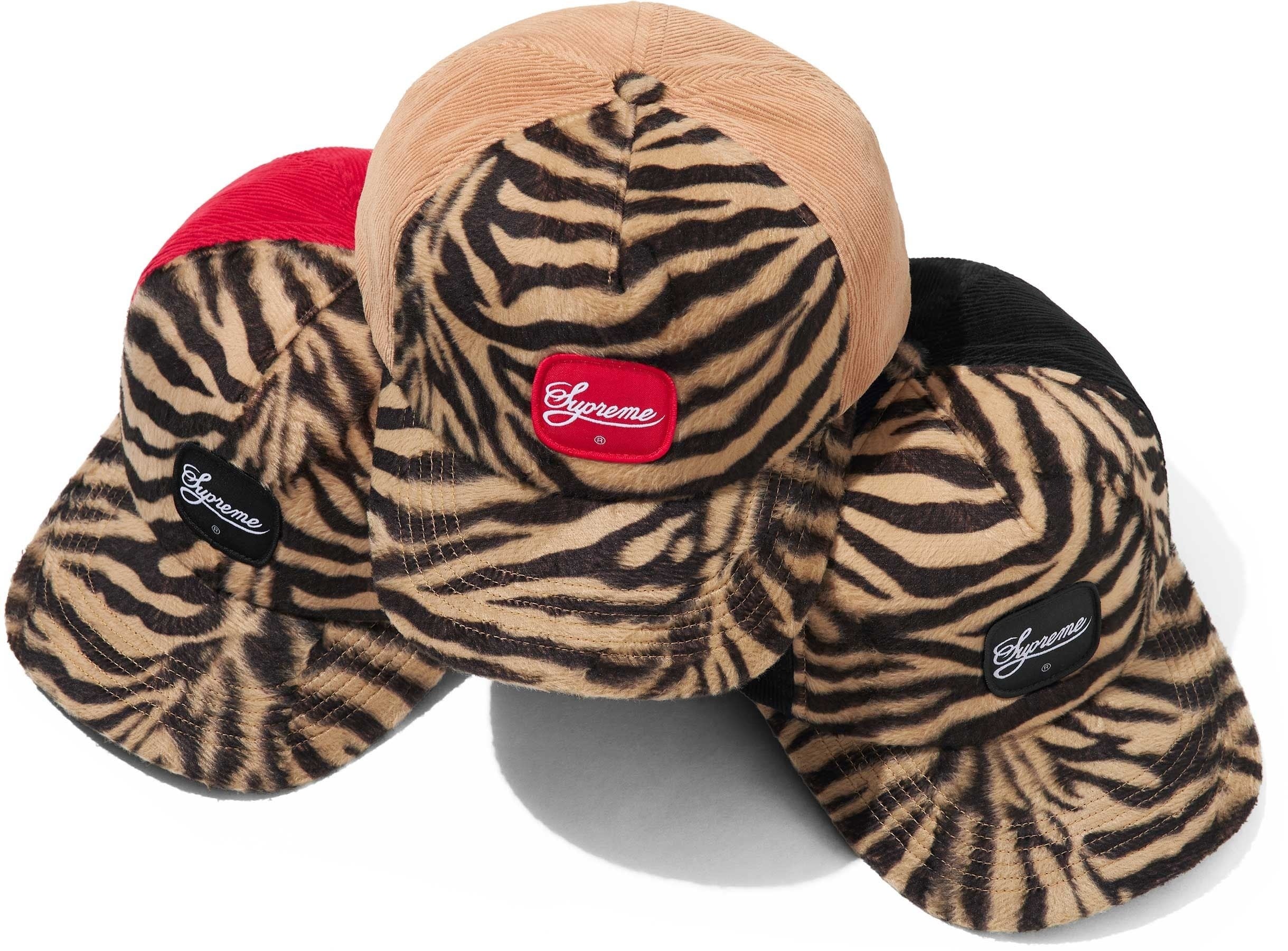 Tiger 5-Panel